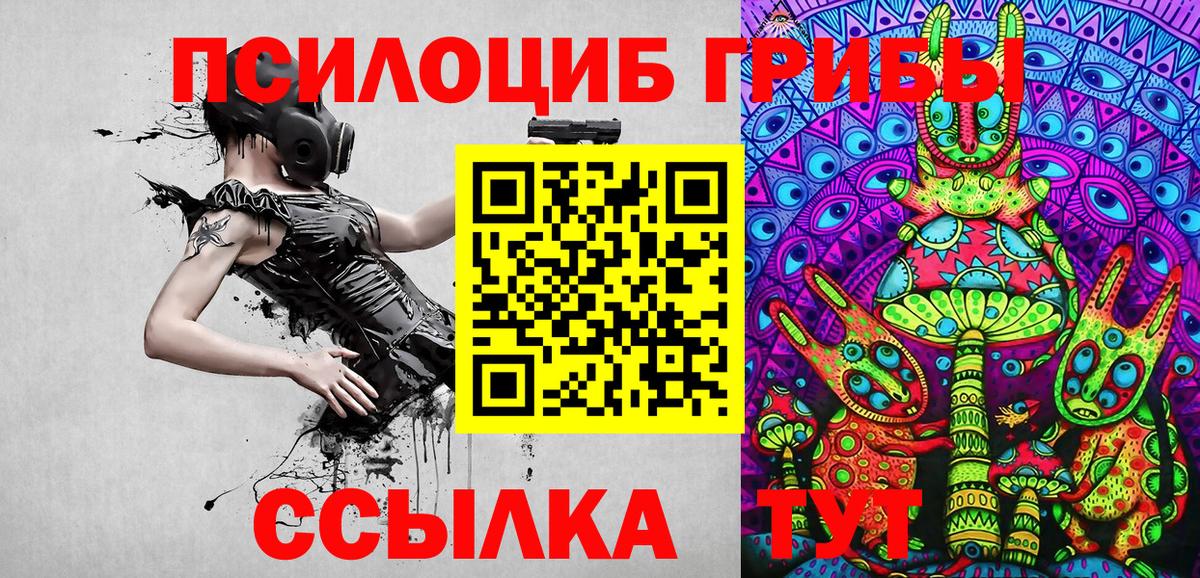 Псилоцибиновые грибы Psilocybine cubensis Ревда